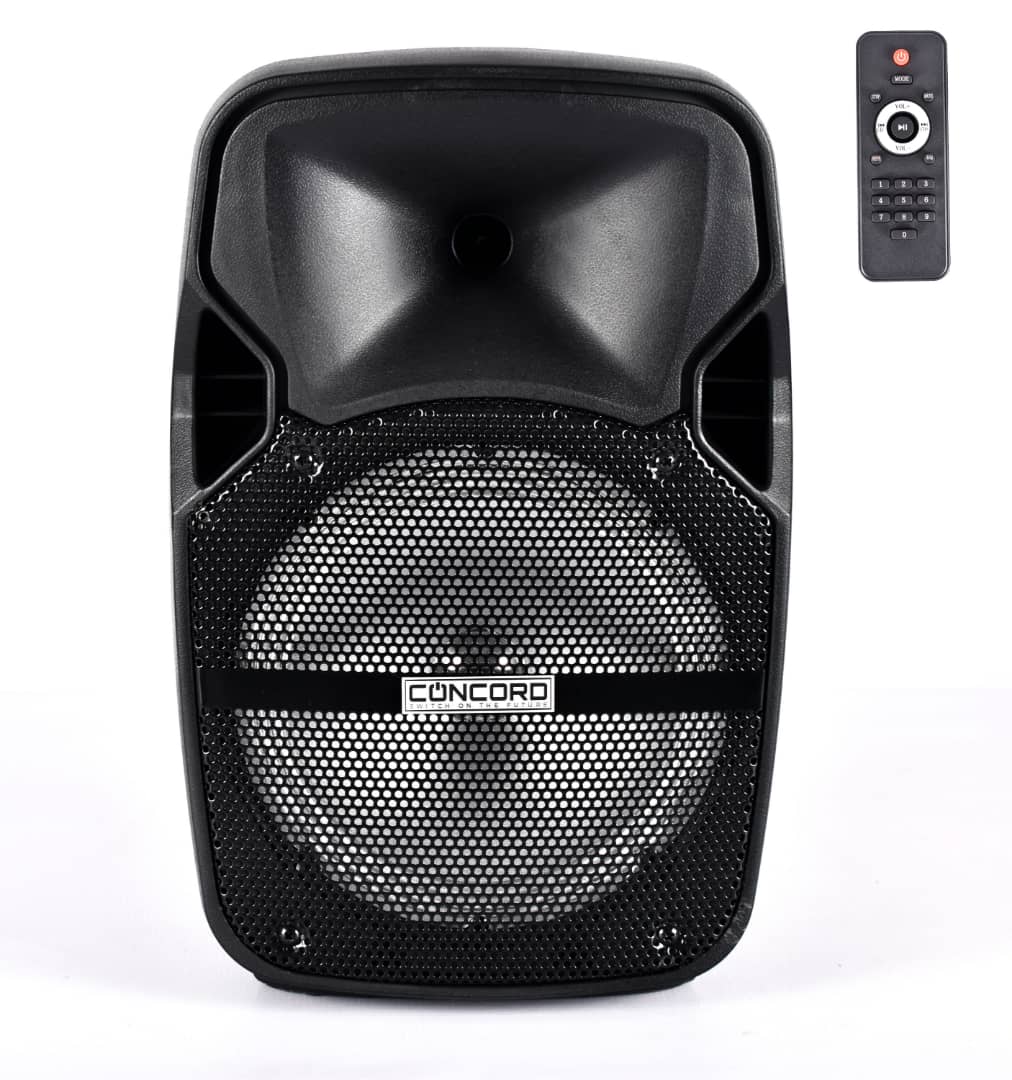 8 inch Concord Powered Professional Portable Speaker System