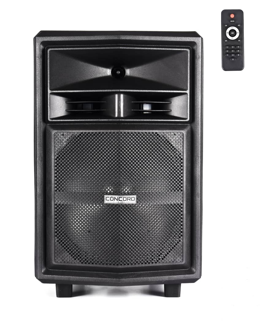 12 inch Concord Powered Professional Portable Speaker System DS-12A