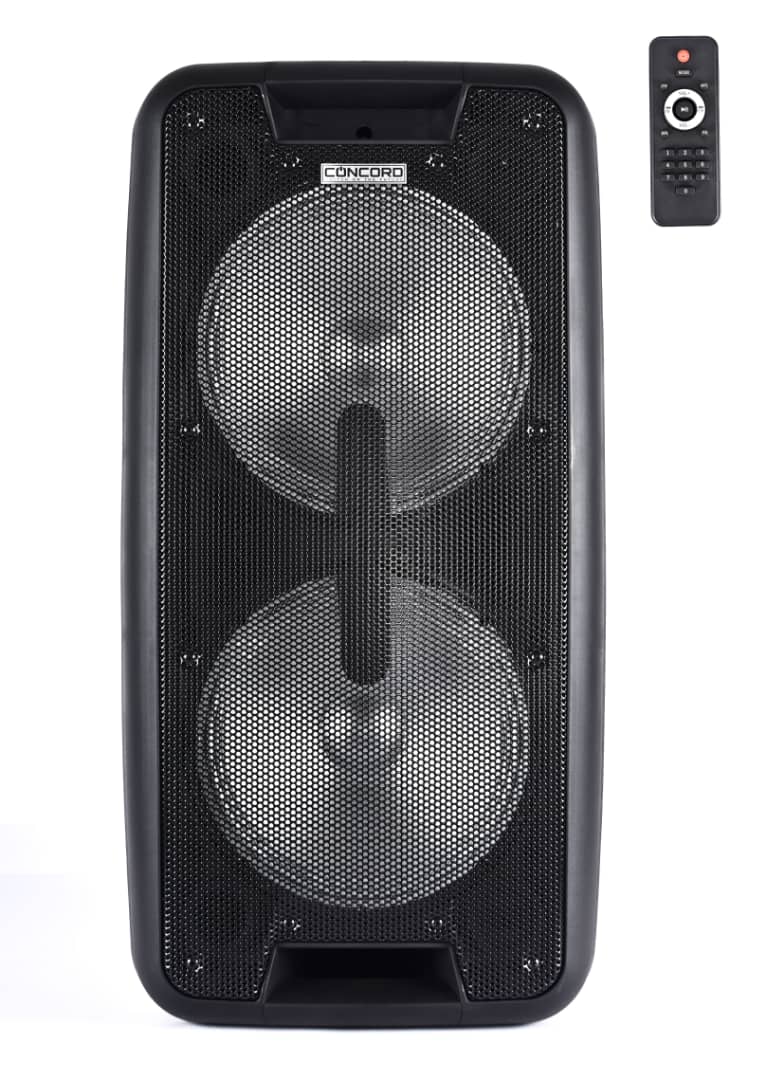 10 inch Double Speakers Concord Powered Professional Portable Speaker System DS-